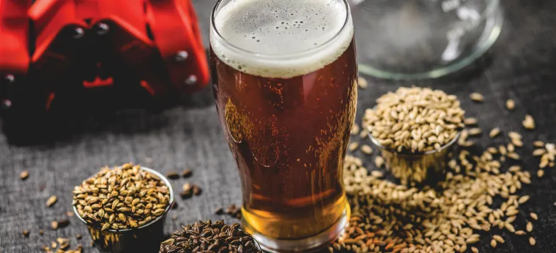  啤酒發(fā)酵過程大揭秘！vAPCI+CMS 聯(lián)用新技術(shù)如何快速捕捉風味密碼？